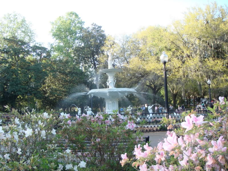 park11.jpg