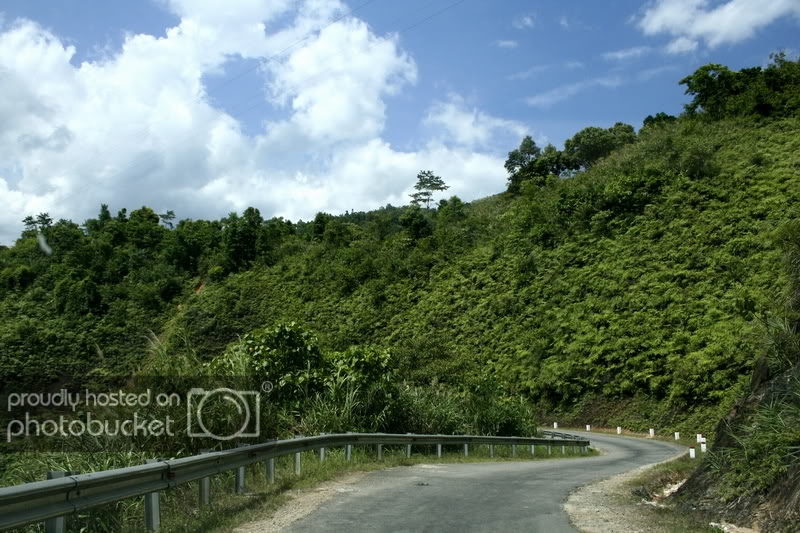 _MG_7945.jpg