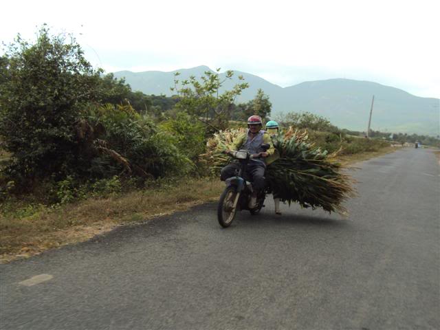 DSC06500Small.jpg