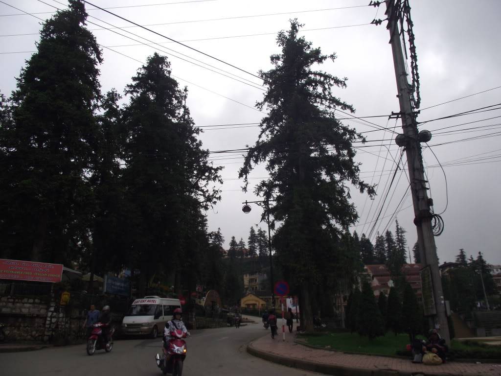 2011_015.jpg