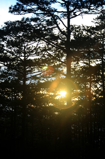 6547524829_8f4e410c6a_z.jpg