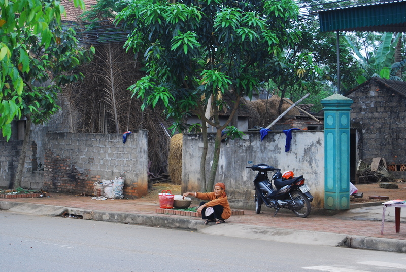 dsc7125x.jpg
