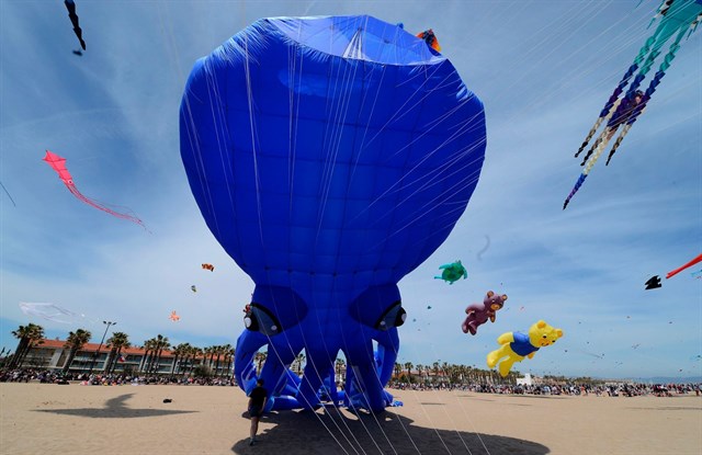 1531730801314-festival-bien-vung-tau-2018-10-6.jpg