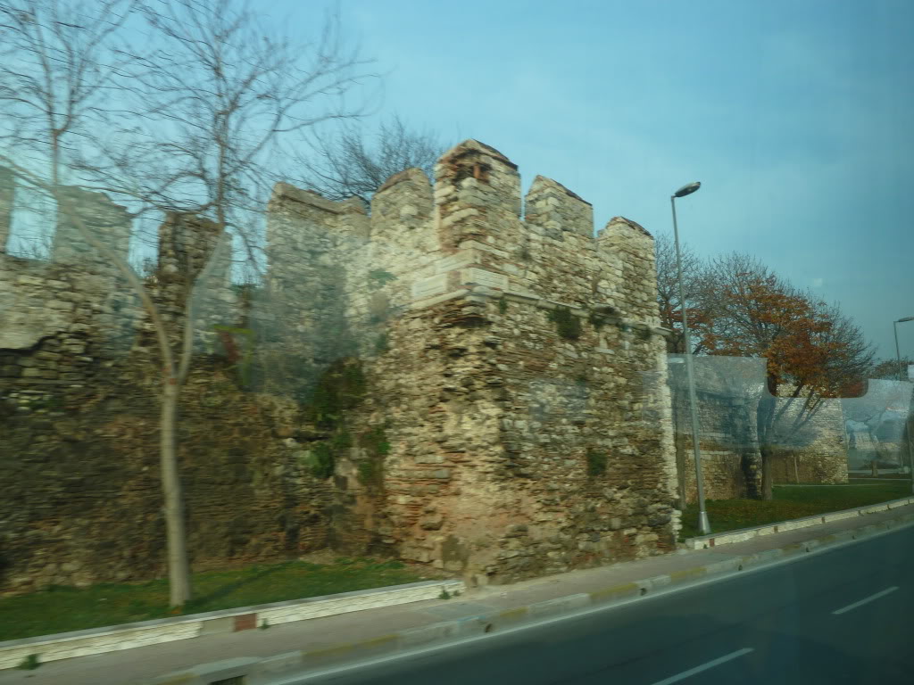 L1020621.jpg