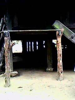 IMG0049A.jpg