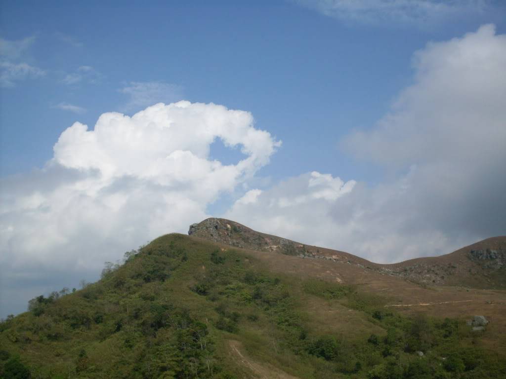 SDC10597.jpg