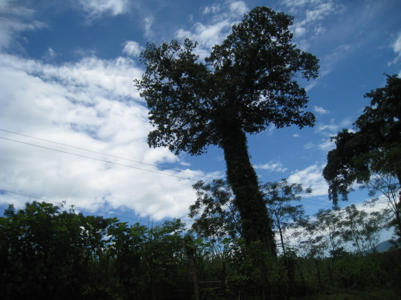 IMG_1525.jpg
