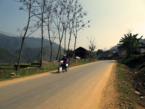 HongNgai2011008.jpg