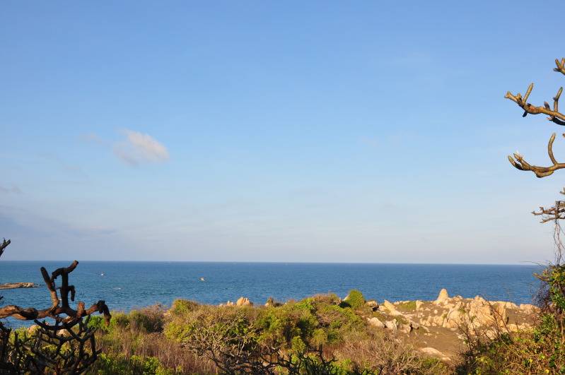 DSC_0296.jpg