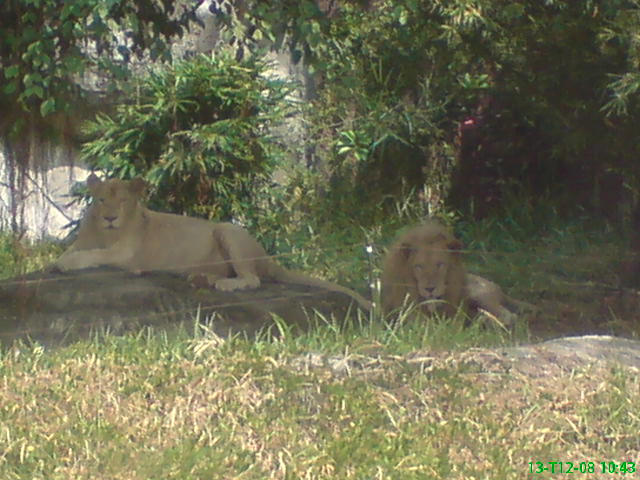 2008-12-13-dai-nam-4.jpg