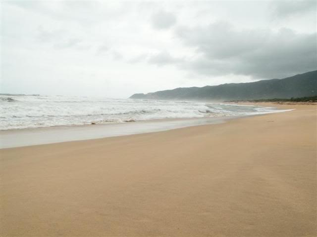 DSC03506Medium-1.jpg