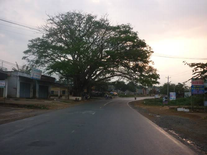 P1090170.jpg