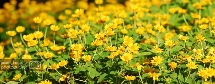 DSC_5374_resize.jpg