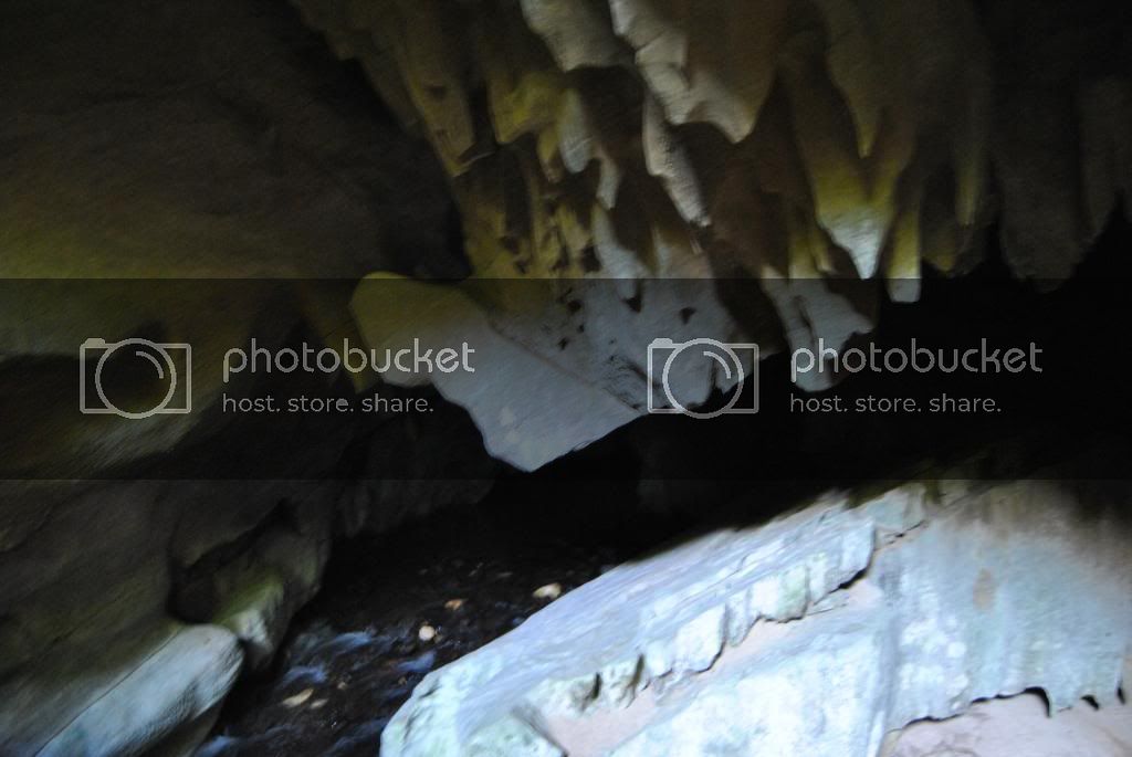DSC_0533.jpg