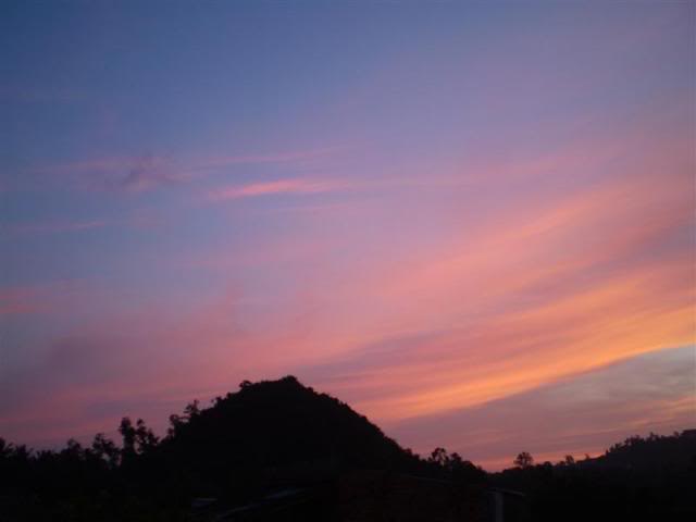 P1010245Medium.jpg