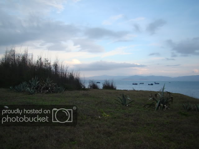 DSC02436.jpg