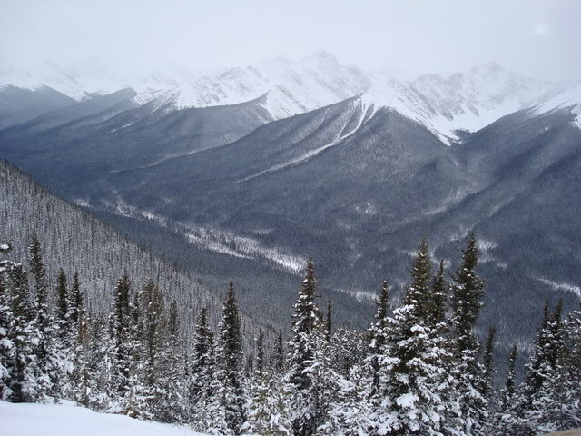 DSC06942.jpg