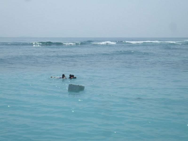 DSCF7053.jpg