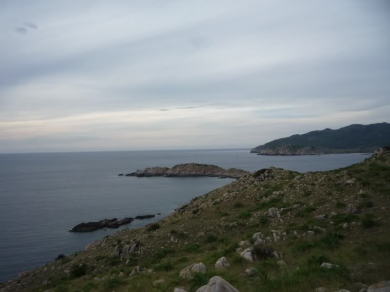 P1010653800x600.jpg