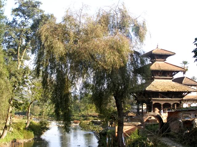 PB060964.jpg