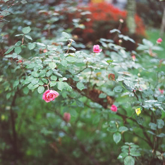 100926v-09.jpg