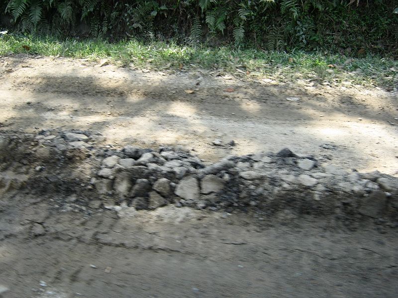 IMG_2565.jpg