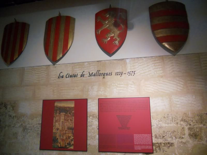 DSCN6568.jpg