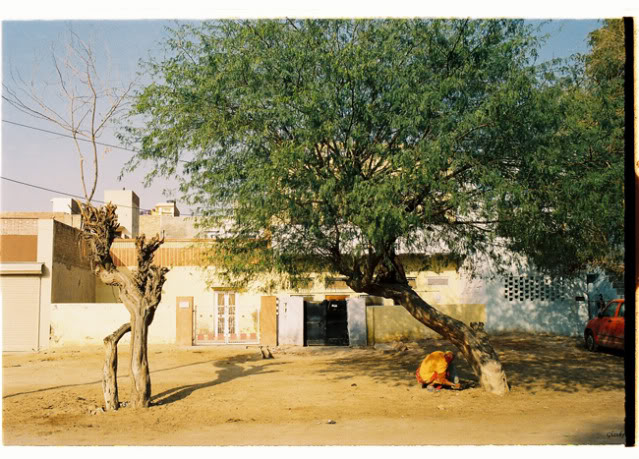 BK423.jpg
