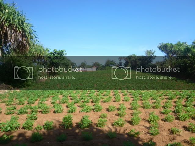 P1040676_resize.jpg