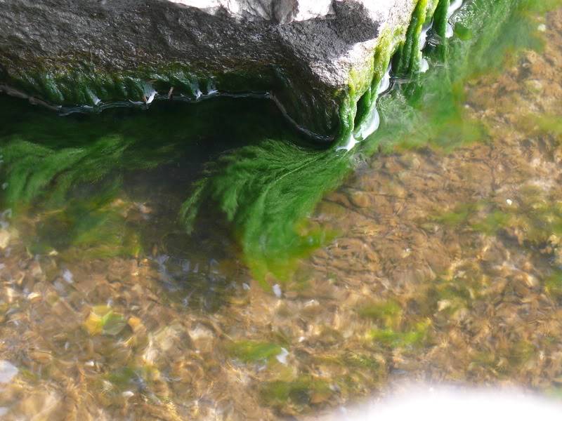 P1070374.jpg