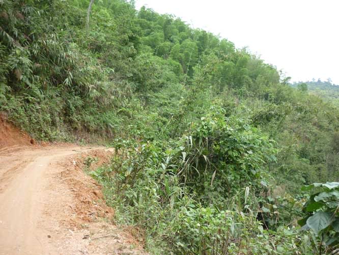 P1300729.jpg