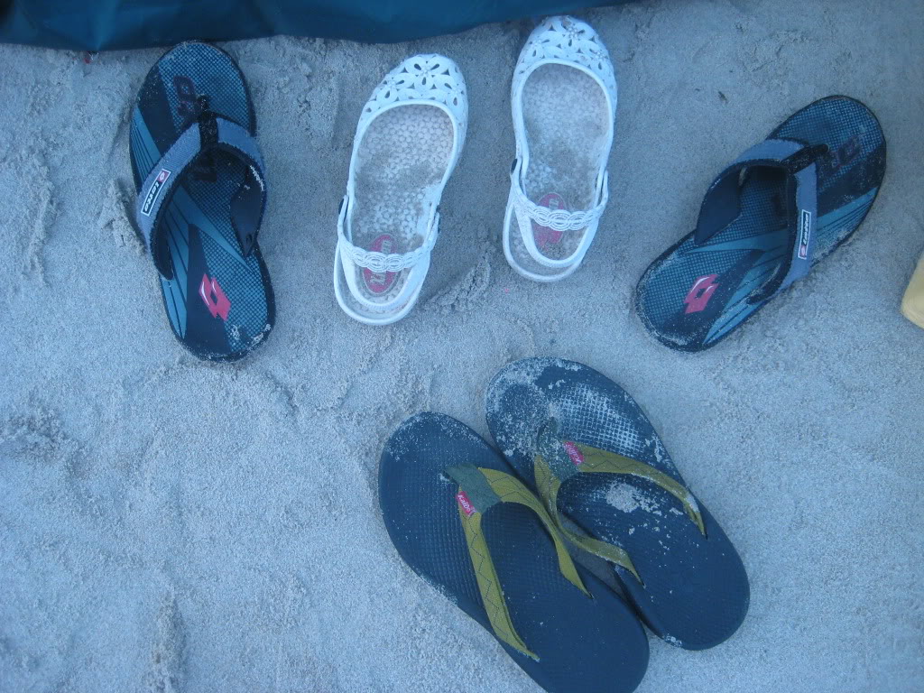 IMG_7882.jpg