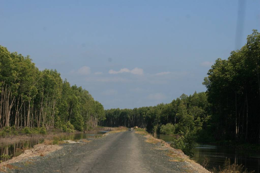 IMG_6505.jpg