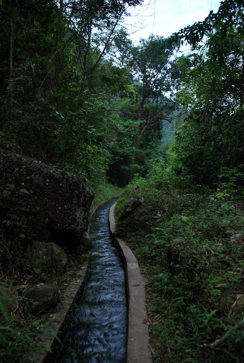 DSC_2297.JPG