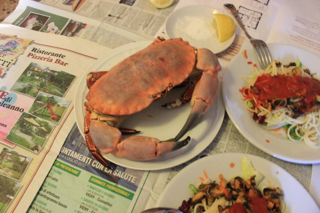 IMG_1594_zps2ae94a00.jpg