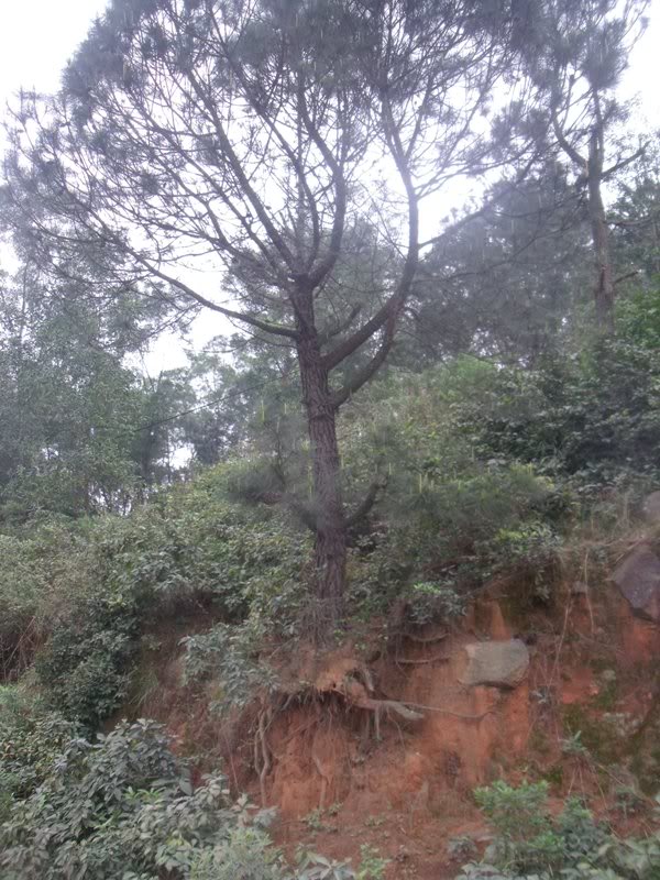 DSCF4529.jpg