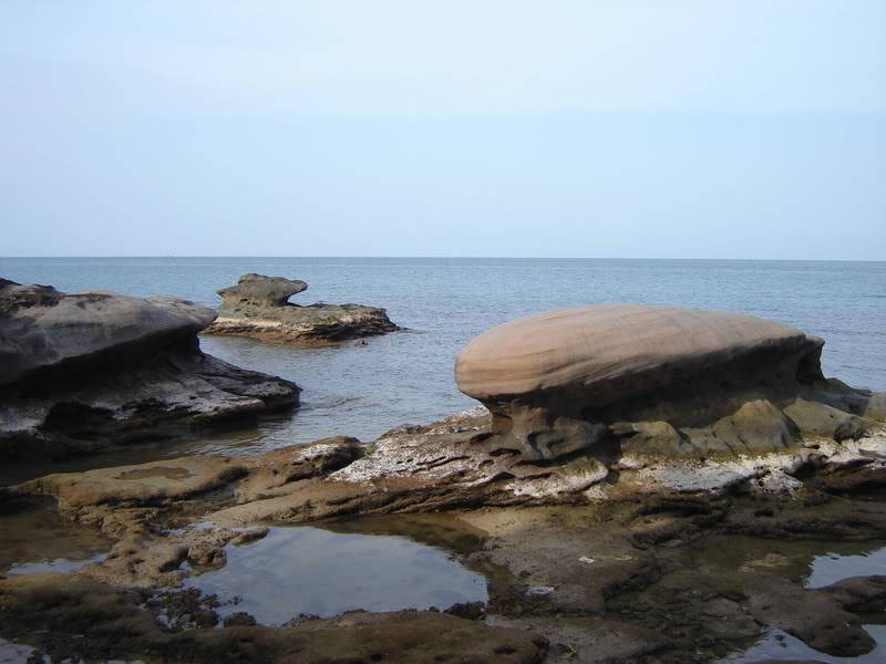 DSC06197_resize.jpg