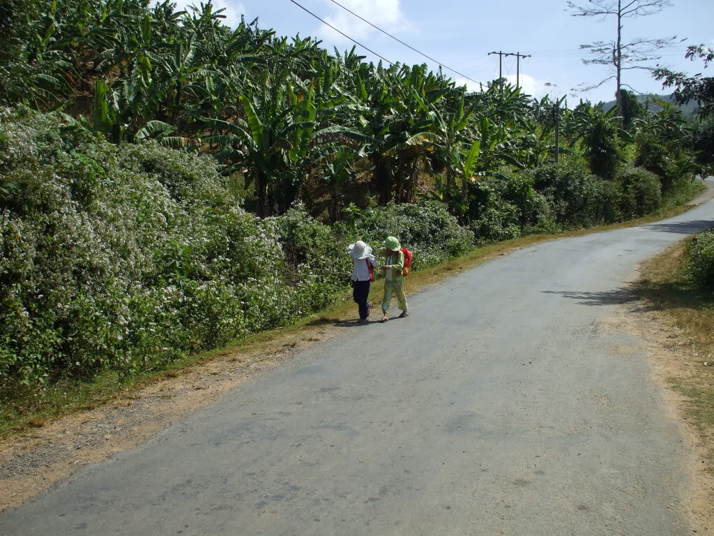DSCF42941.jpg