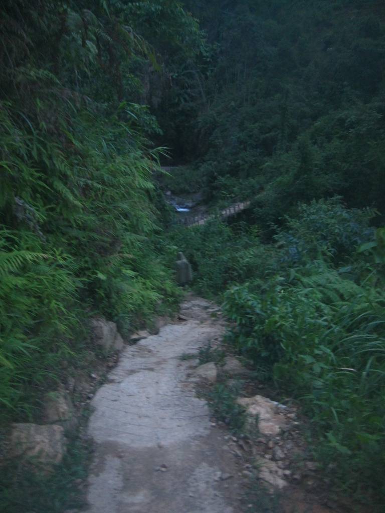 IMG_8444.jpg