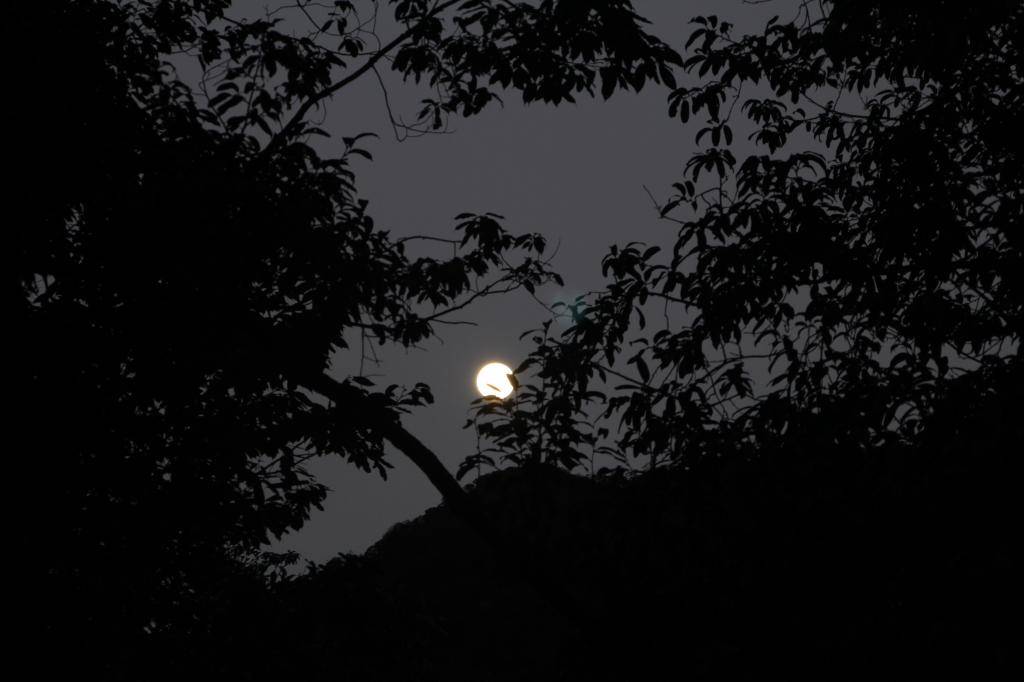 IMG_0042_zps80ea1250.jpg