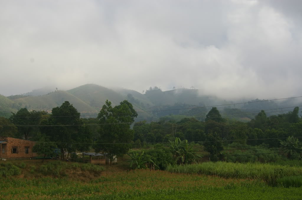 IMGP0057.jpg