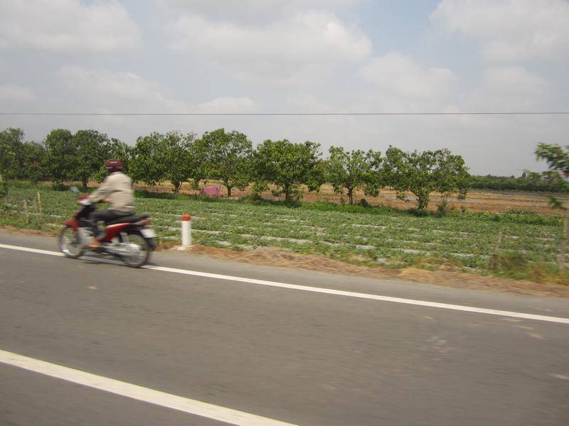 IMG_1070_zpsbe49a3ac.jpg