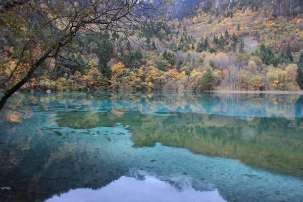 honguhoa2-toan.jpg