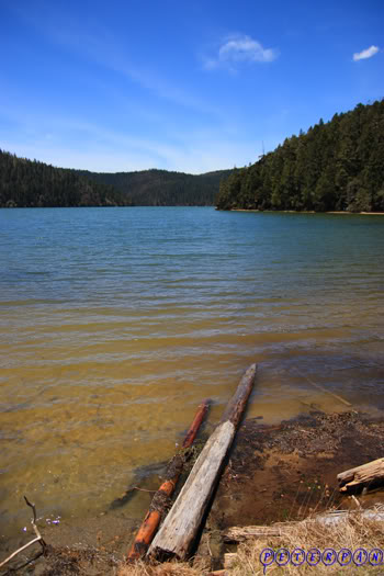 shangri-la258.jpg