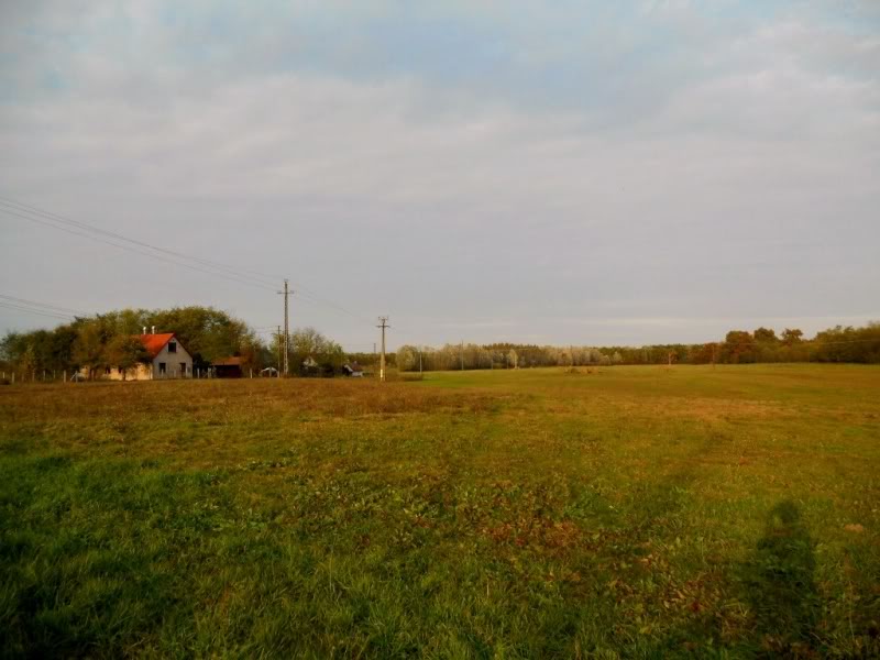 DSCN1216.jpg