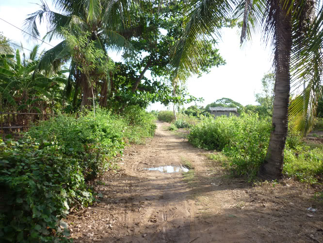 P1330536.jpg