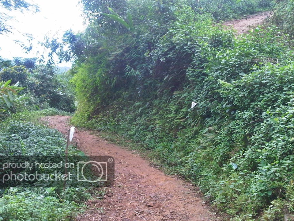IMG-20120923-00151.jpg