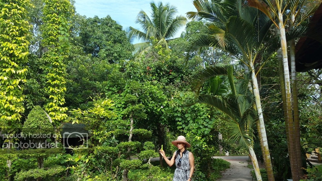20150718_083508_zpsvrr0kkay.jpg