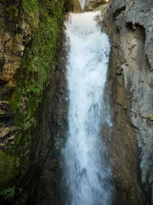 DSCN5230.jpg