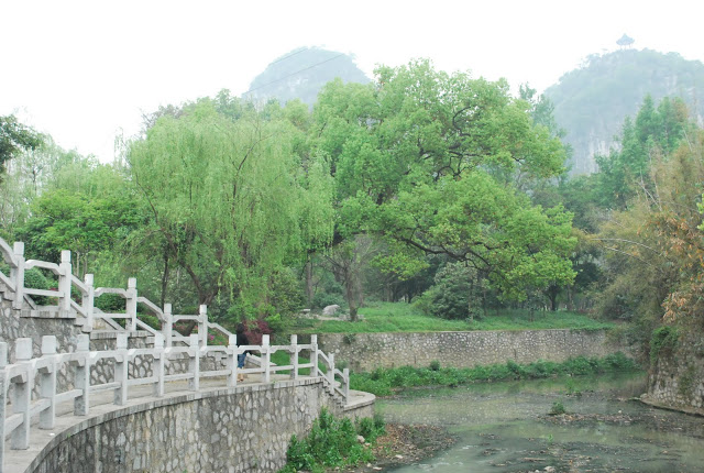 DSC_1885.JPG